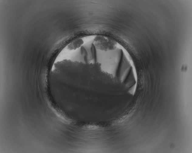 X0000091880590200710031743