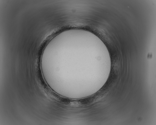 X0000091880591200710031743