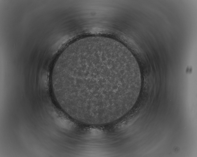 X0000091880592200710031743