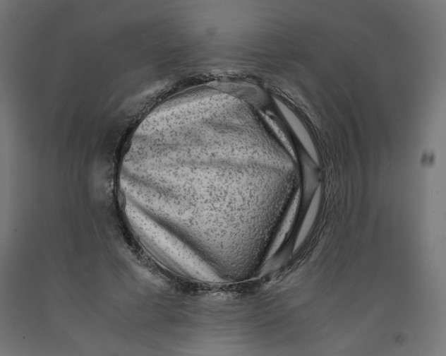 X0000091880593200710031743