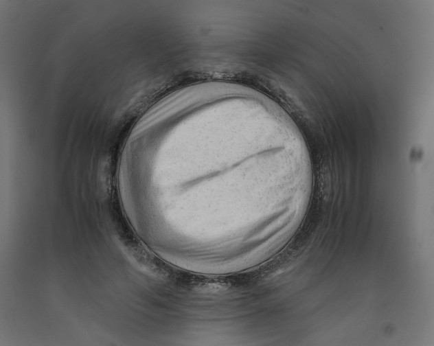 X0000091880594200710031743