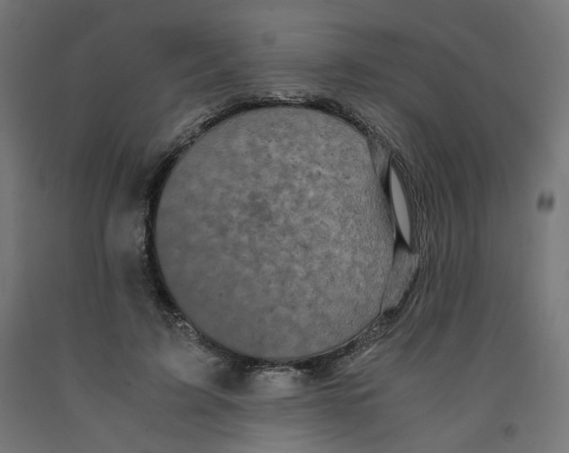 X0000091880595200710031743