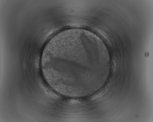 X0000091880596200710031743