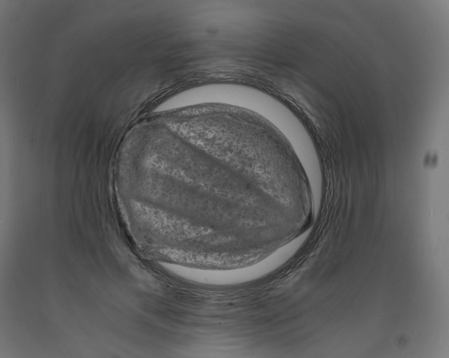 X0000091880597200710031743