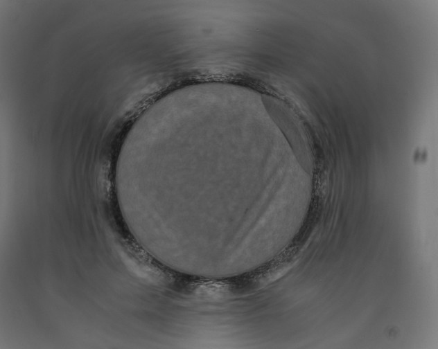 X0000091880599200710031743