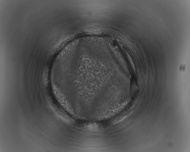 X0000091880600200710031743