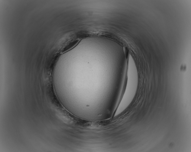 X0000091880601200710031743