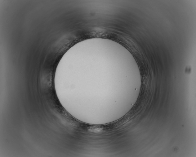 X0000091880602200710031743