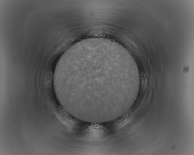 X0000091880603200710031743