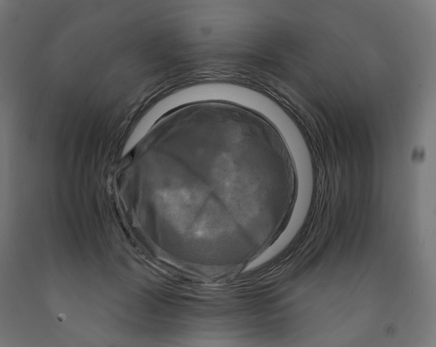 X0000091880604200710031743