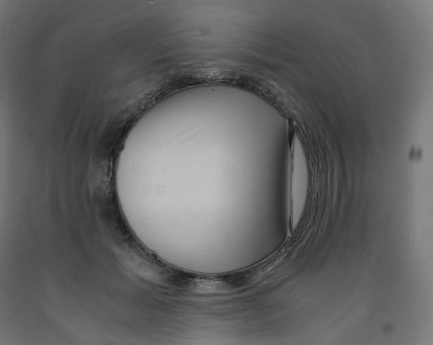 X0000091880605200710031743