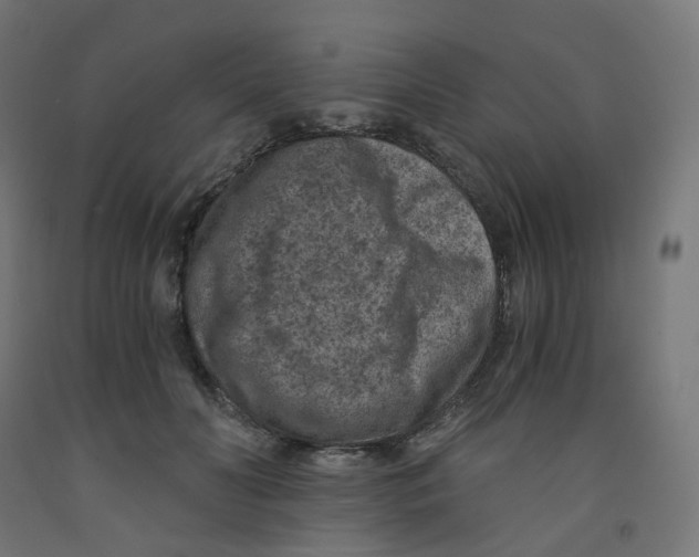 X0000091880606200710031743