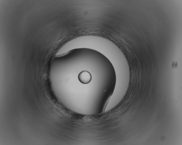 X0000091880608200710031743