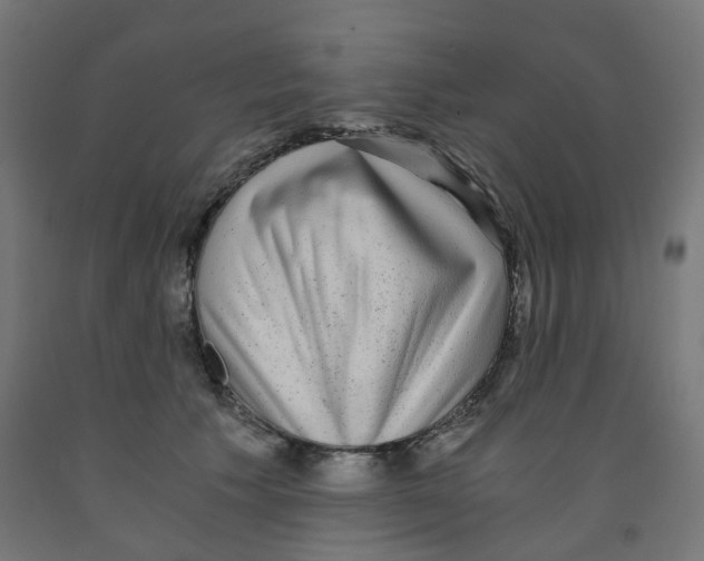 X0000091880609200710031743