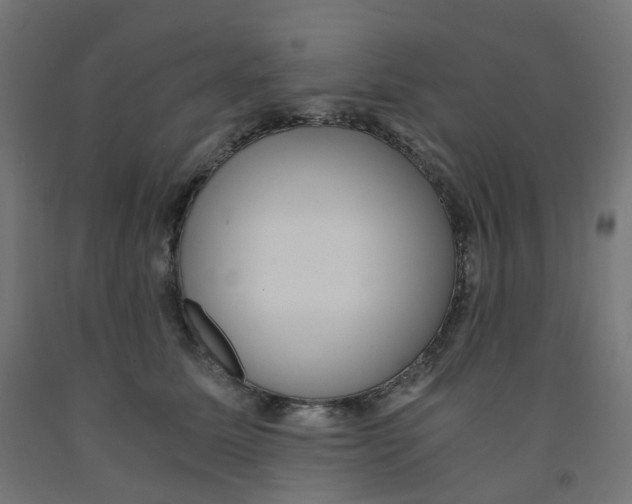 X0000091880611200710031743