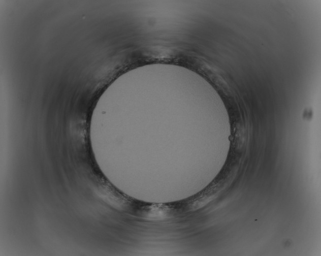 X0000091880612200710031743