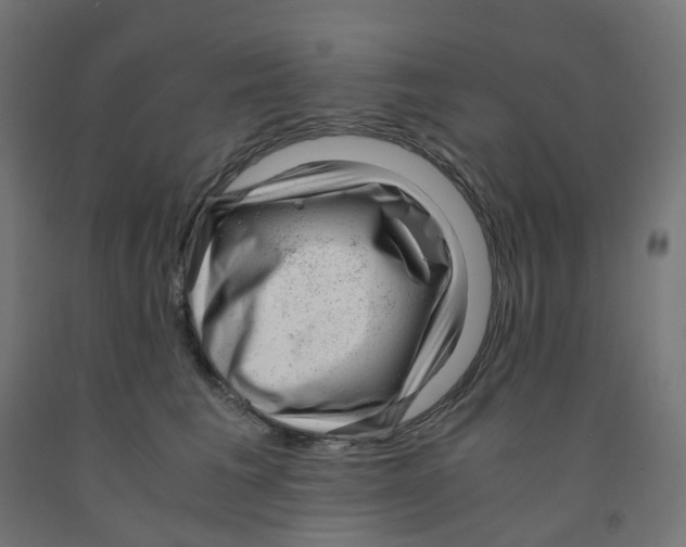 X0000091880613200710031743