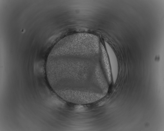 X0000091880616200710031743