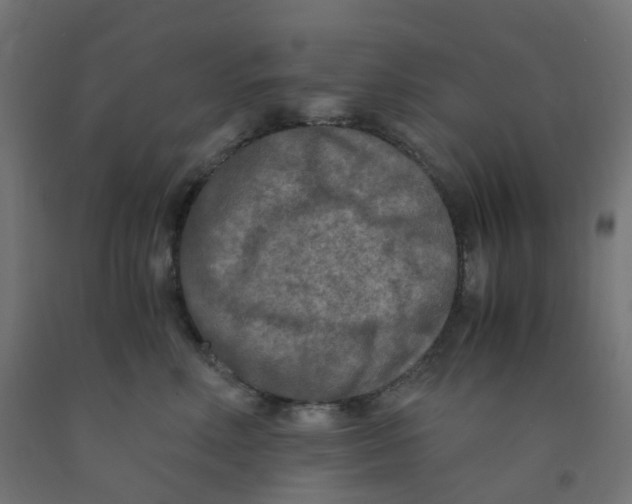 X0000091880618200710031743