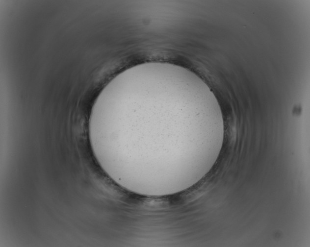 X0000091880619200710031743