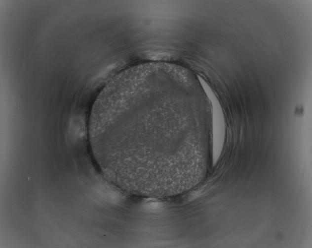 X0000091880620200710031743