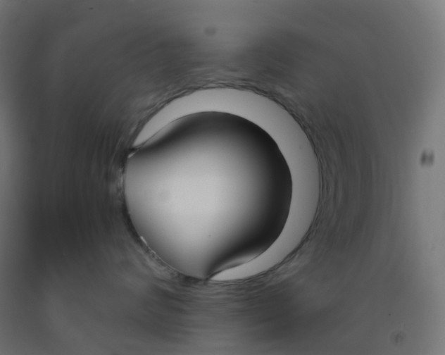 X0000091880624200710031743