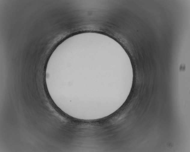 X0000091880625200710031742