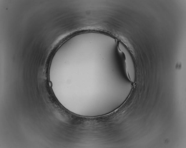 X0000091880628200710031742