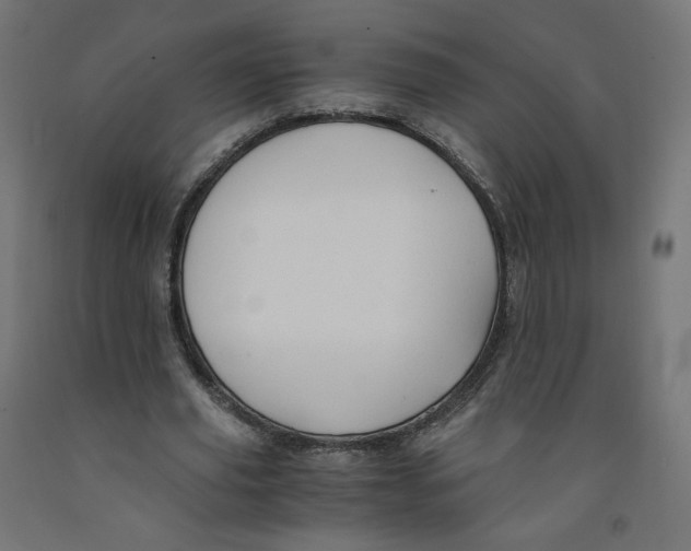 X0000091880629200710031742