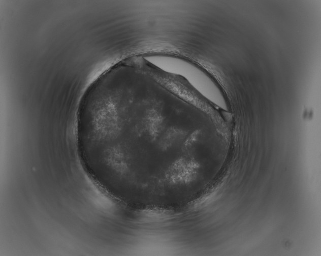 X0000091880630200710031742