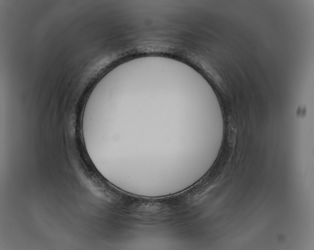 X0000091880631200710031742