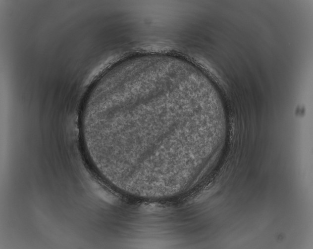 X0000091880634200710031742