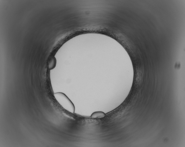 X0000091880636200710031742