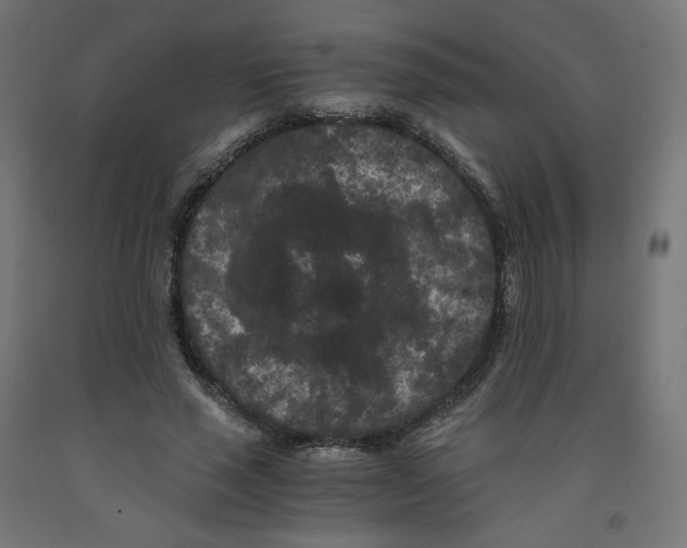 X0000091880637200710031742