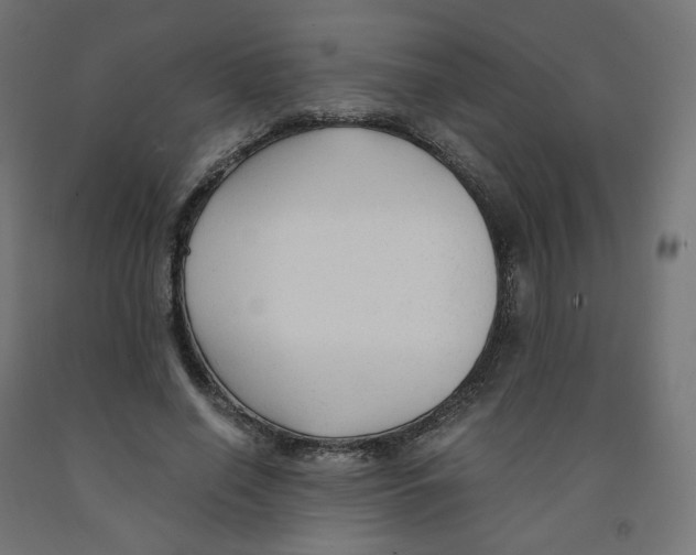 X0000091880638200710031742