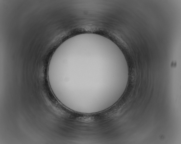 X0000091880639200710031742