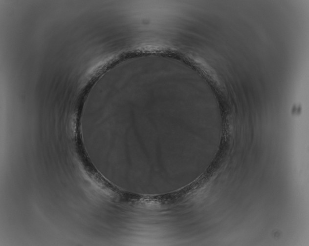 X0000091880640200710031742