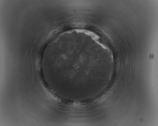 X0000091880641200710031742