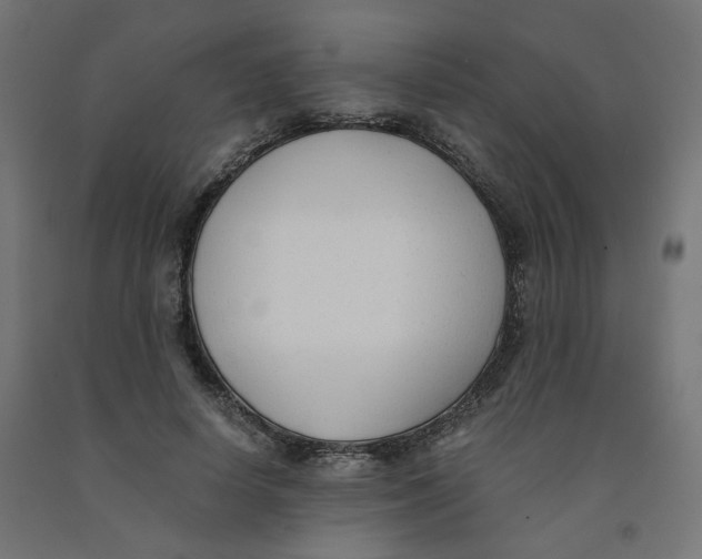 X0000091880642200710031742