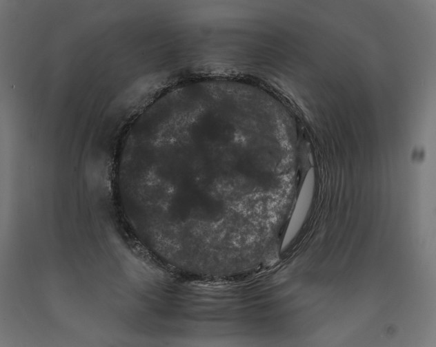 X0000091880643200710031742