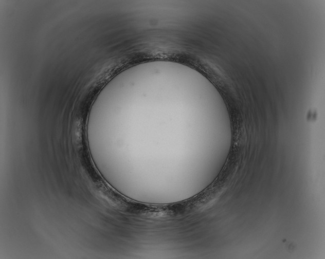 X0000091880646200710031742