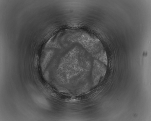 X0000091880647200710031742