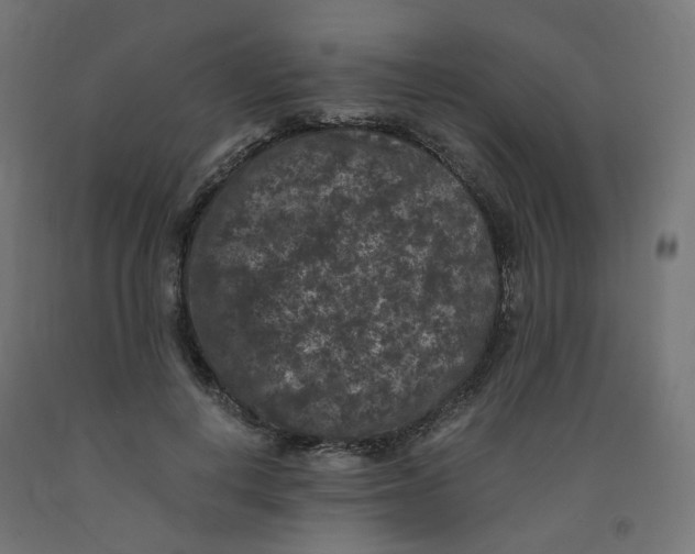 X0000091880648200710031742