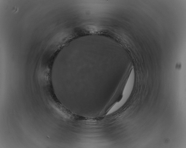 X0000091880650200710031742