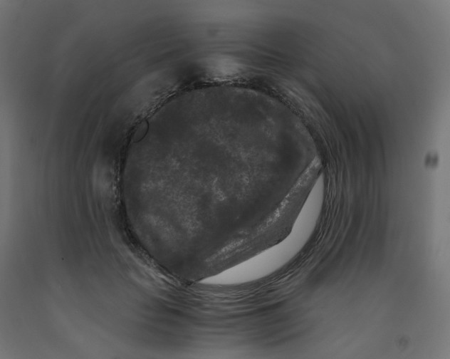 X0000091880653200710031742