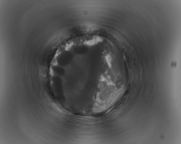 X0000091880654200710031742