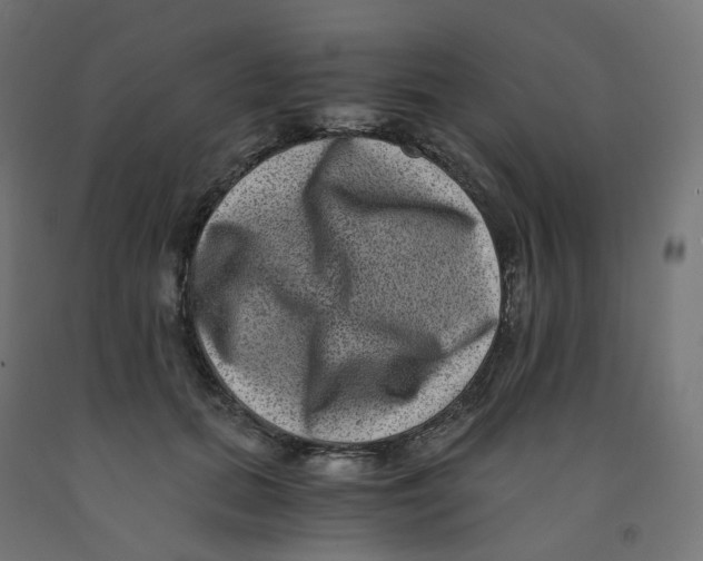 X0000091880655200710031742