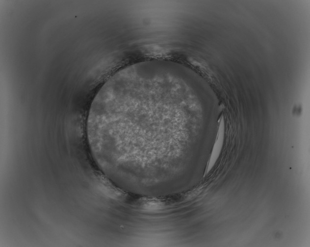 X0000091880658200710031742