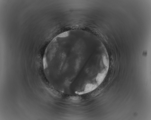 X0000091880659200710031742