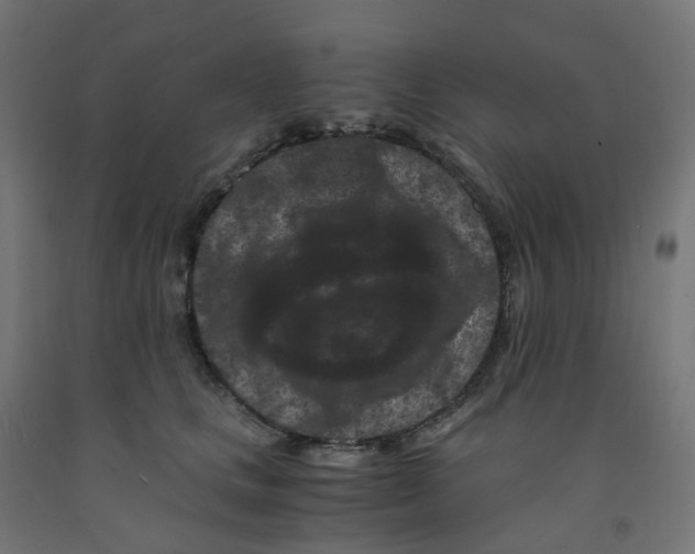 X0000091880661200710031742